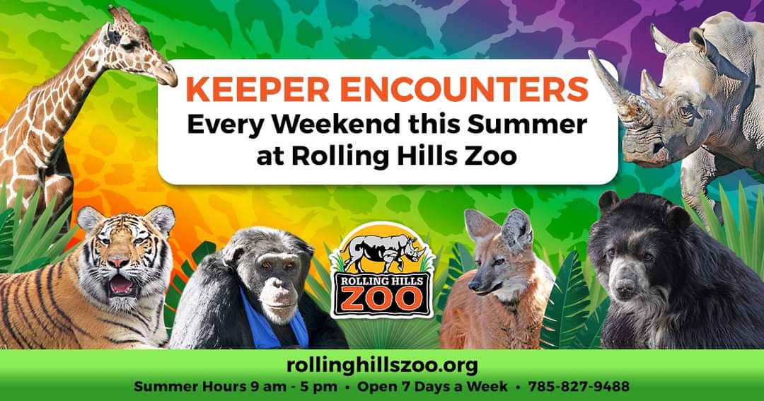 Spend Your Weekend with Rolling Hills Zoo