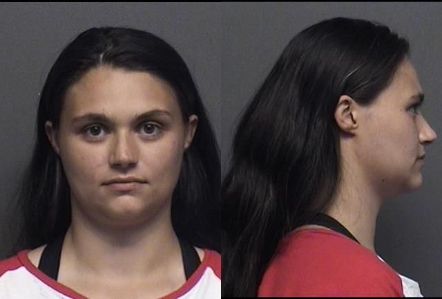 Saline County Jail Booking Activity - Friday