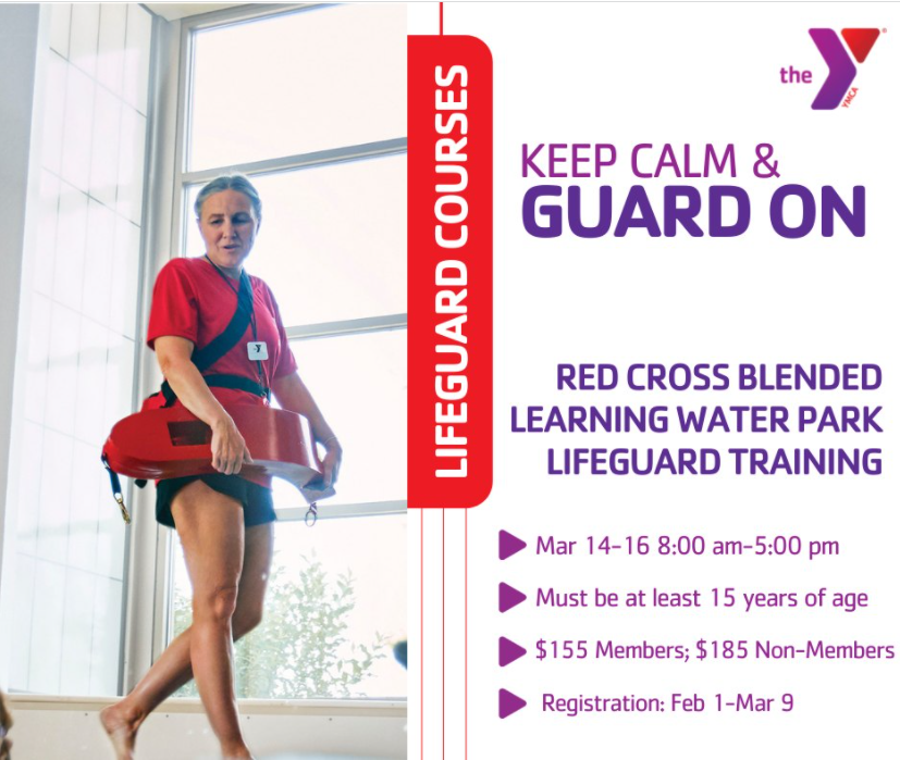 Lifeguard Courses At The YMCA