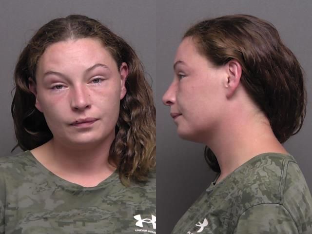 Woman Arrested For DUI & Child Endangerment In West Salina