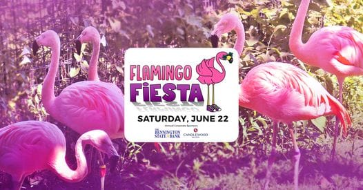Join the Flamingo Fiesta at Rolling Hills Zoo