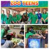 Is Your Teen A Zoo Teen Volunteer?