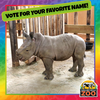 Rolling Hill Zoo Needs Your Help To Name Baby Boy Rhino