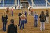 Ag Hall brings in 4-H Horse Judging Event