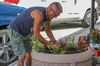 Elk Creek Gardens 2.0 Adds Flowers to 47 Pots in Downtown Salina