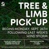Tree & Limb Pick-up