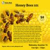 Honey Bee Class