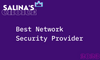 Salina's Choice: Best Network Security Company