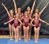 Salina Gymnasts Place in National Competition