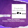Pawsitively Successful: Friends of the Salina Animal Shelter Reflect on 2023 with Salina311