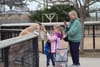 Spring Break at Rolling Hills Zoo