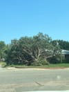 City of Salina Continues Storm Cleanup Efforts