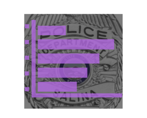 Salina Police Incident Report (July 26)