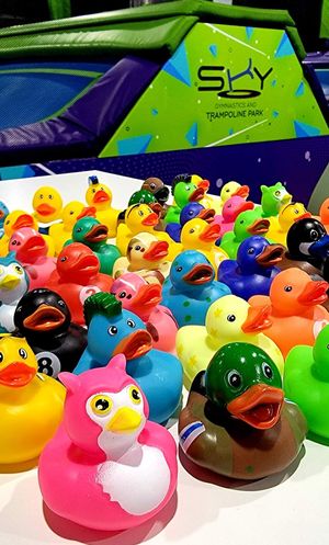 Toddler Time at Sky Trampoline Park