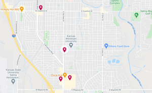 Salina Police Vanquish Serial Juvenile Vape Vandals