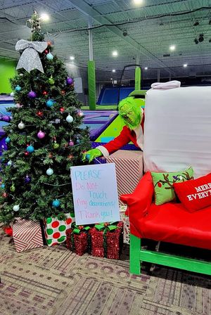 The Grinch Is Back At Sky