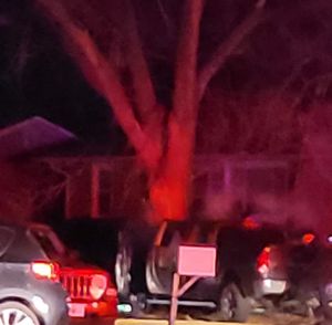 Salina Man Injured After Truck Hits Tree