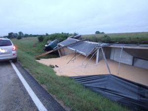 Semi Hits Cow on County Road, Loses Trailer of Corn