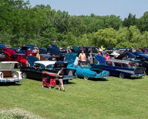 Roars of a Different Sort at Rolling Hills Zoo on Father's Day (Photo gallery)