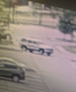 Catalytic Converter Theft is this Week's Crimestoppers