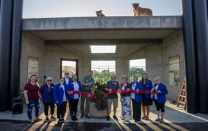 Pride of the Prairie Lion Exhibit Opens After Ribbon Cutting