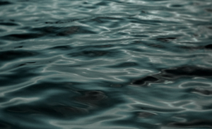 Salina City Commission Special Meeting