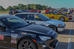 Sunflower Showdown at Berkley Family Recreational Area