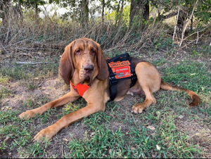 Joint Training Exercise to take place in Kipp, Gypsum Area