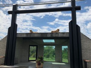 RHZ Weather Announcement