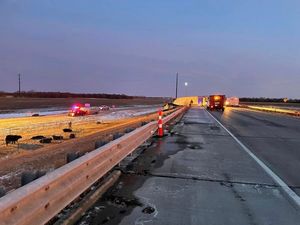 UPDATE: Last of Cattle Rounded Up After Interstate Crash