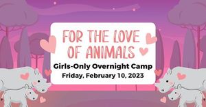 For the Love of Animals