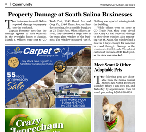 Start Advertising With Salina311 For $10