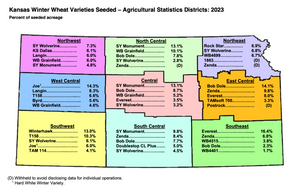 SY Monument is Top Wheat Variety for Fifth Consecutive Year