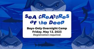 Boys Overnight Camp at Rolling Hills Zoo