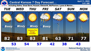 7 Day Forecast