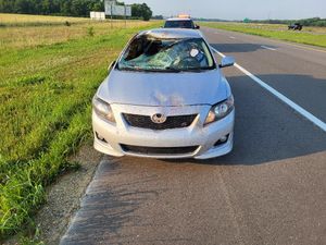 Three Deer-Related Accidents Occurred Over the Weekend