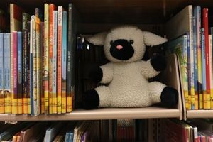 Bedtime Adventure at the Library