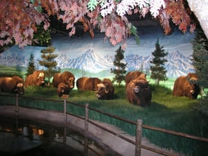 Escape the Chill at Rolling Hills Zoo