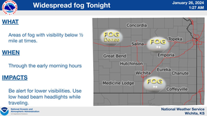 Widespread Fog Tonight