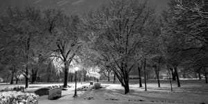 Snow.  Lots of Snow ❄