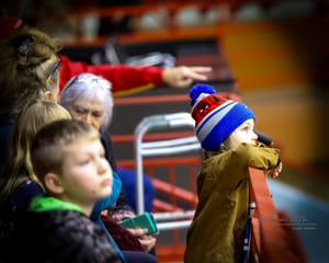 Adventures at the Circus