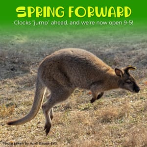 RHZ on Peak Summer Hours