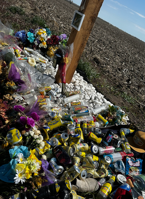 Saline County's Commitment: Maintaining Integrity of Teens Memorial