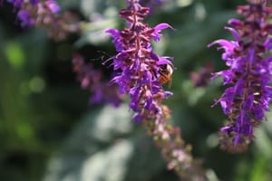 KWU Theatre Prepares to Launch “Working, A Musical – Localized”