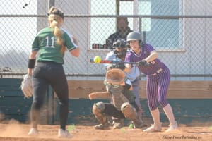 Take Me out to the Ball Park