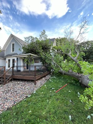 Photos: Severe Windstorm Hits Salina