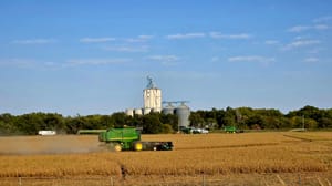 Beyond the City Limits