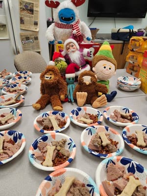 Santa and Friends Bring Thanksgiving Cheer to Salina Animal Shelter