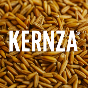 Salina Area Restaurants and Breweries Add Kernza® to Menus for Earth Week