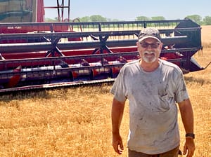 Timely Rains Produce Good Wheat, Happy Corn, Despite Current Heat